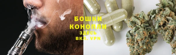 PSILOCYBIN Майский