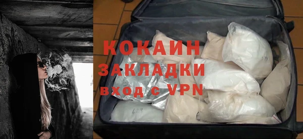 гидра Липки