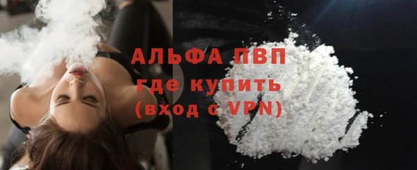 PSILOCYBIN Майский