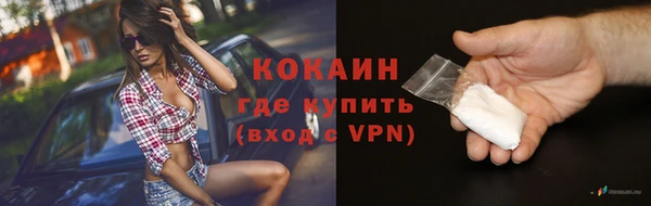 PSILOCYBIN Майский
