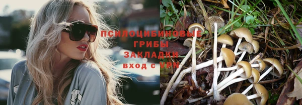 PSILOCYBIN Майский