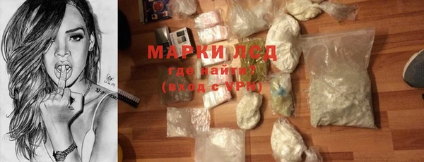 PSILOCYBIN Майский