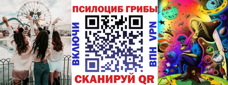 OMG как войти  Шумерля  Псилоцибиновые грибы Psilocybe 
